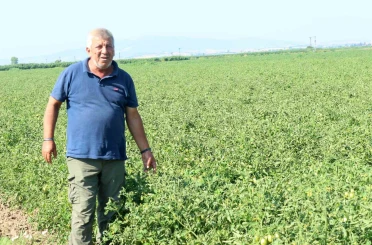 Manyas Gölü’nden gelen ilaçlı su sorununa üretici çözüm bekliyor 