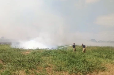 Manyas ve Bandırma arasında sazlık alanda yangın çıktı 