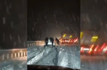 Mardin-Diyarbakır karayolunda kar engeli 