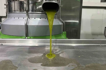 Marmara bölgesinin ilk zeytinyağı sıkımı gerçekleşti