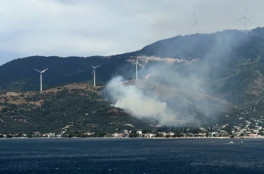 Marmara’da orman yangınına neden olan şüpheli gözaltına alındı 