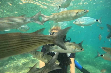 Marmaris’te dalış turizmine yoğun ilgi 