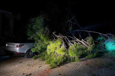 Marmaris’te fırtına ağaç devirdi: 1 kişi yaralandı 
