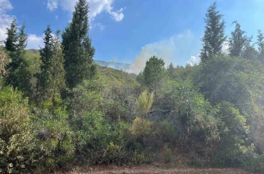 Marmaris’te yıldırım kaynaklı orman yangını 