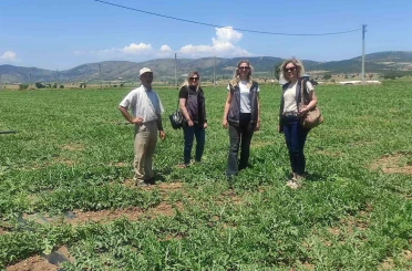 Medetli karpuzu iyi tarımla geleceğe taşınıyor 