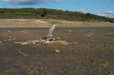 Megakentin en büyük barajı alarm veriyor 