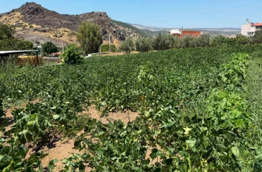 Menemen’de su hasreti çeken Ayvacık köyüne asırlık hizmet 