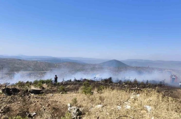 Menteşe’de makilik yangını 