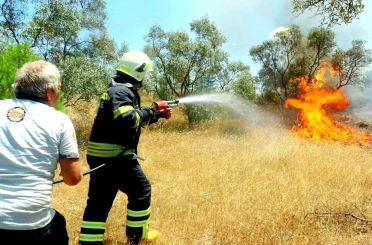 Menteşe’de zeytinlik yangını 