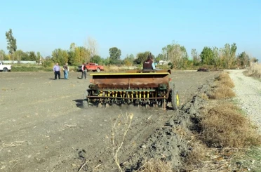 Mera alanları işgalden kurtarılıyor 