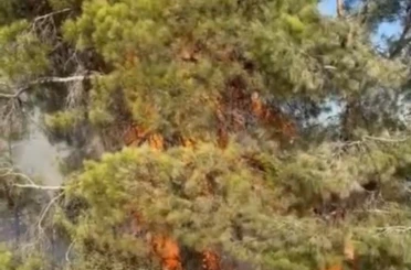 Mersin Erdemli’de orman yangını büyümeden söndürüldü 