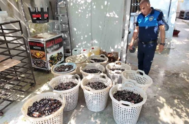 Mersin’de 200 kilo bozuk midye dolması ele geçirildi 
