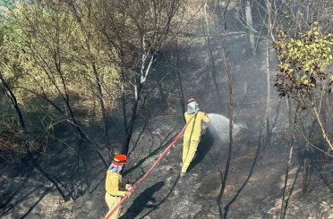 Mersin’de bahçe yangını büyümeden söndürüldü 