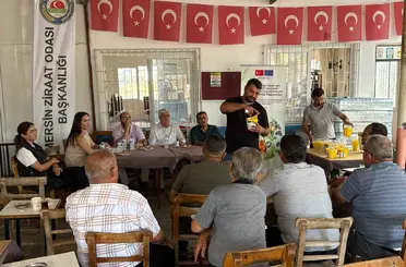 Mersin’de çiftçilere Akdeniz meyve sineğiyle mücadele eğitimi
