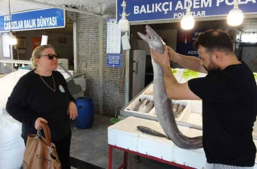Mersin’de dev yılan balığı tezgahta ilgi odağı oldu 