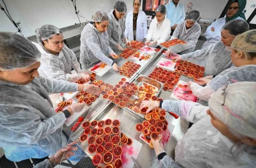 Mersin’de kan portakalı kadınların elinde değer kazanıyor 