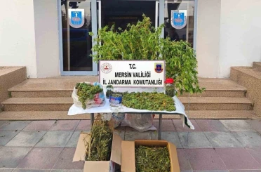 Mersin’de kenevir ekip uyuşturucu üreten şüpheli tutuklandı