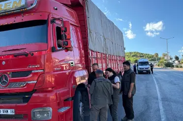 Mersin’de orman suçlarına karşı yol kontrolü
