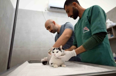 Mersin’de sokak kedileri için yeni merkez hizmete girdi 