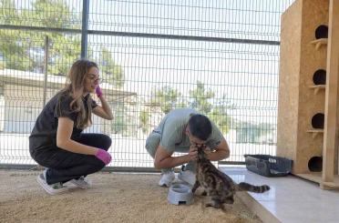 Mersin’de yaralı hayvanlar yeniden yaşama tutunuyor 
