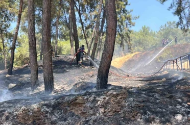Mesire alanındaki yangın kısa sürede söndürüldü 