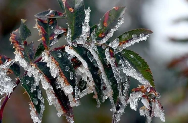 Meteoroloji'den Konya ve çevresine kritik uyarı