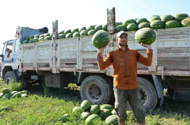Mevsimlik işçilerin karpuz mesaisi 