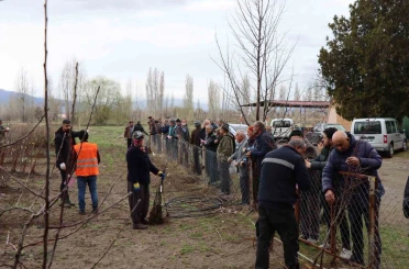 Meyve fidanı satışı 30 Mart’ta yapılacak 