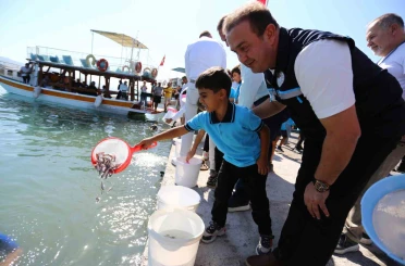 Milas Boğaziçi’ne 150 bin çipura ve 10 bin levrek yavrusu bırakıldı 