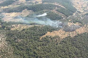 Milas’ta çıkan zirai yangın kısa sürede kontrol altına alındı 