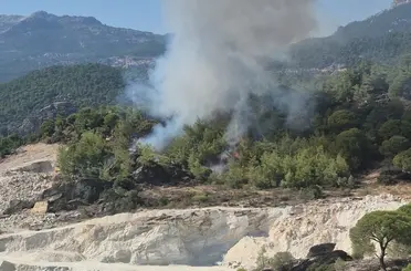Milas’ta orman yangını
