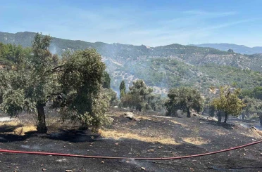 Milas’ta ziraat alanı yangını büyümeden söndürüldü 