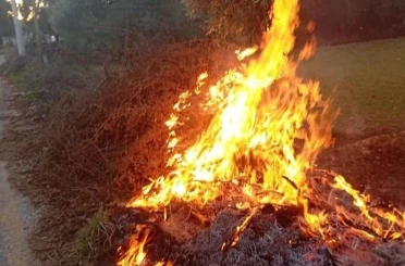 Milas’taki orman yangınları büyümeden söndürüldü