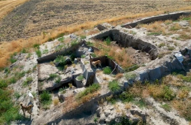 Milattan Önce 2000’li yıllara ait kazı alanı sokak köpeklerinin meskeni haline geldi 