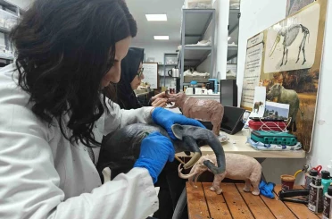 Milyon yıllık tarih minyatürleştiriliyor 