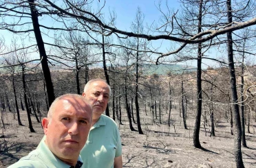 Mimarlar Odası Başkanı Şahin: "Ormanlarımızı alevler kadar ihmaller de yakıyor" 
