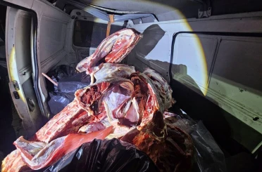 Minibüste menşei belirsiz 1 ton kırmızı et ele geçirildi 