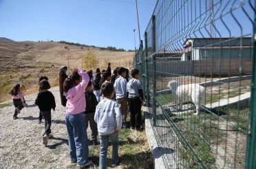 Minik öğrenciler patili dostlarını ziyaret etti 