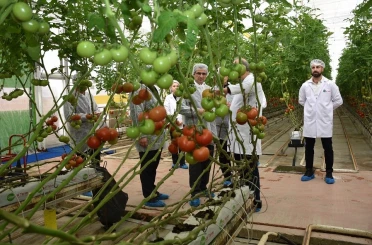 Modern sera yatırımları Salihli’de tarımı güçlendiriyor 