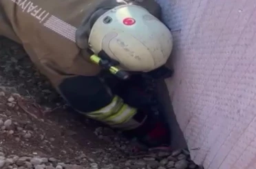 Moloz yığını altında kalan yavru kedi kurtarıldı 