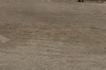 Mudanya sahilinde oltaya takılan martıyı vatandaş kurtardı