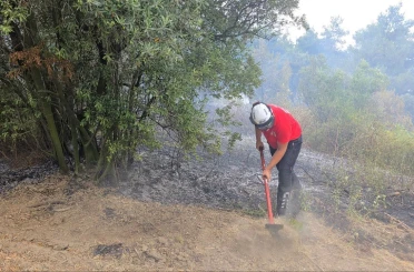 Mudanya’da rüzgarın etkisiyle büyüyen yangın kontrol altına alındı 