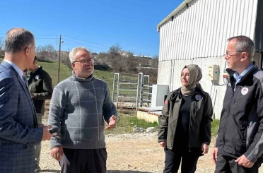 Müdür Ayvalık, üreticilerle tarım ve hayvancılığı inceledi 