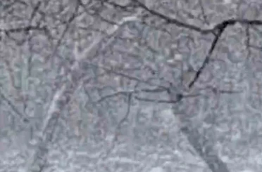 Mudurnu’da lapa lapa kar yağışı etkili oldu 