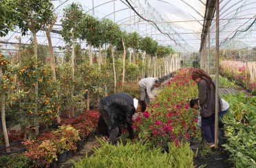 Muğla Büyükşehir’den yerel kalkınmaya katkı 