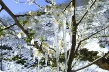 Muğla için kritik uyarı: Dondurucu soğuklar geliyor 