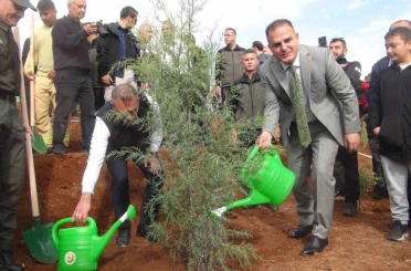 Muğla’da 33 bin fidan toprak ile buluştu 