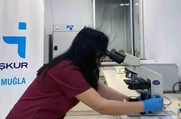 Muğla’da Kadın İstihdamında Artış 