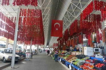 Muğla’da kurutmalıklar yurt dışına açıldı