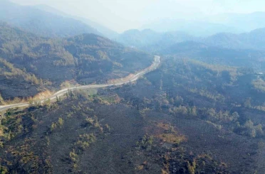 Muğla’da yangın felaketinin boyutu drone görüntüleriyle ortaya çıktı